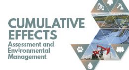 Cumulative Effects Assessment and Environmental Management
